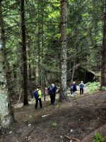 Wir kraxeln den Hang hinab