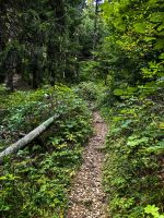 Schmaler Pfad hinunter ins Tal