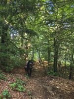 Wir marschieren steil den Hang hinunter zurück nach Sinaia