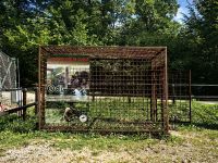 In solch engen Käfigen würde so mancher Bär jahrelang gehalten