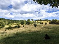 Landschaft bei Zarnesti