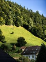 Dörfliches Rumänien in Moieciu mit Heuschobern, Häusern wie in Österreich und Landluft