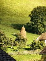 Mit Hand aufgeschichtete Heuschober prägen im Herbst das ländliche Rumänien