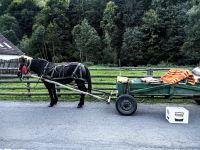 Stella bringt uns zum Abendessen