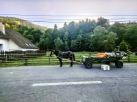 Mitten im ländlichen Rumänien in Moieciu