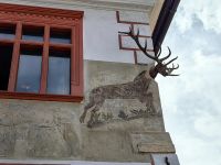 Hitschhaus in Sigihoara 