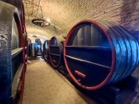 Die alten Eichenfässer im Weingut Seuca