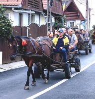 Hier wird man durchs Dorf kutschiert, Sibiel