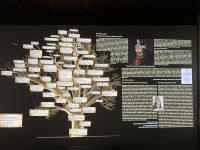 Rumänien - Bran - Draculaschloss