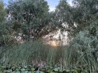 Rumänien - Katamaranfahrt im Donaudelta