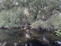 Rumänien - Katamaranfahrt im Donaudelta