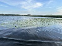 Rumänien - Katamaranfahrt im Donaudelta