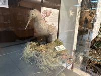 Rumänien - Tulcea - Donaumuseum