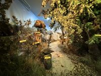 Rumänien - Tulcea - Donaumuseum