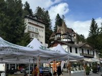 Straßenfest in Sinaia