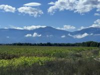 Blick auf das Fagaras Gebirge
