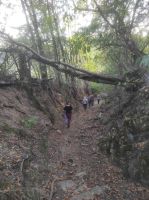 Wanderweg nach Sibiel