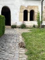 Kirchenburg, Honigberg, Rumänien