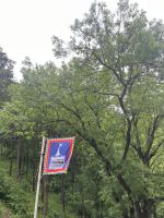 Schloss Bran, Törzburg, Rumänien