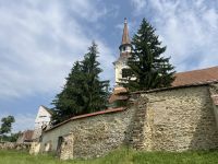 Saalkirche, Crit, Rumänien