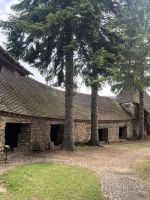 Saalkirche, Crit, Rumänien