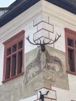 Haus mit Hirschgeweih, Schäßburg, Rumänien