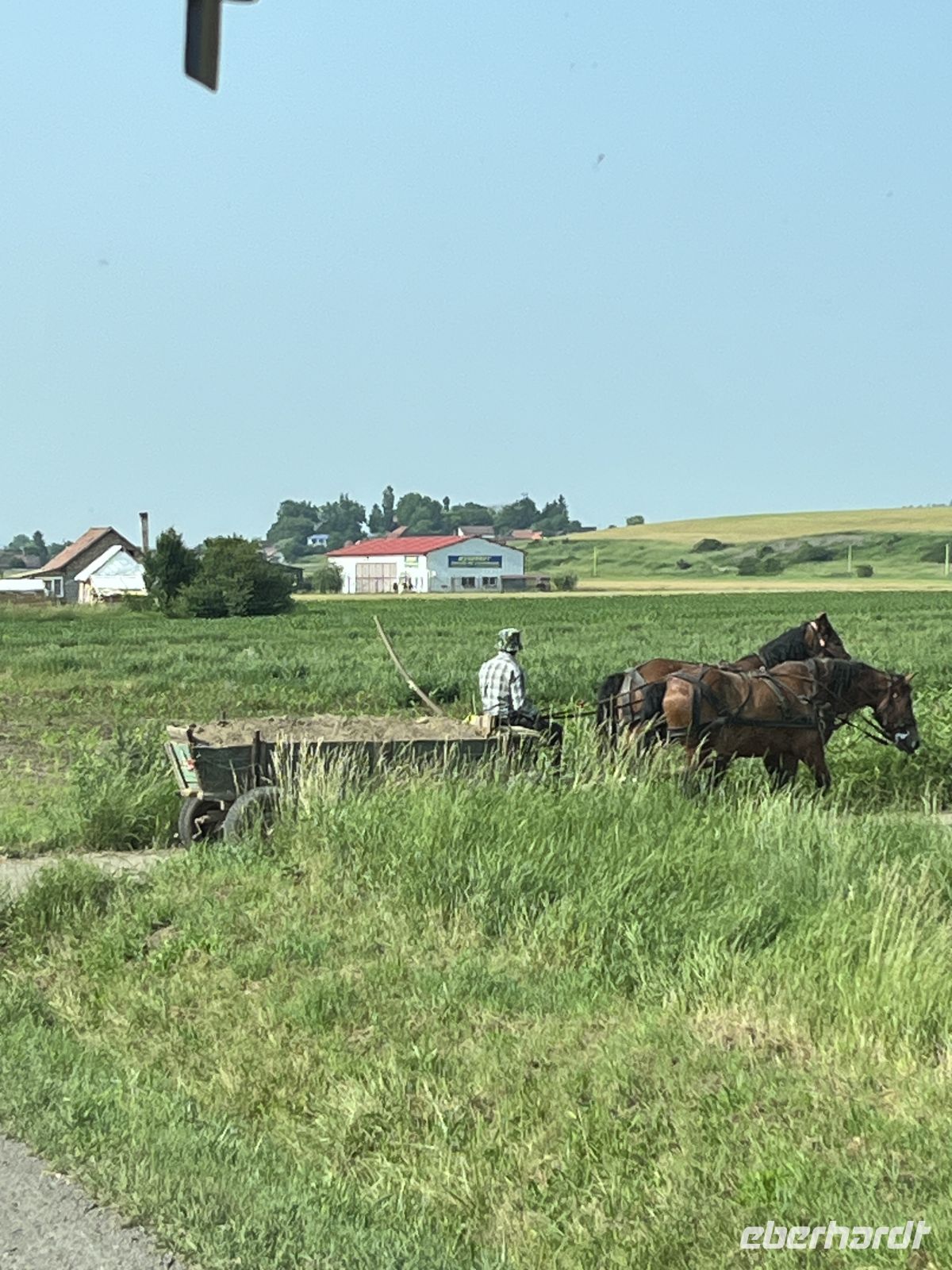 Pferdegespann, Rumänien