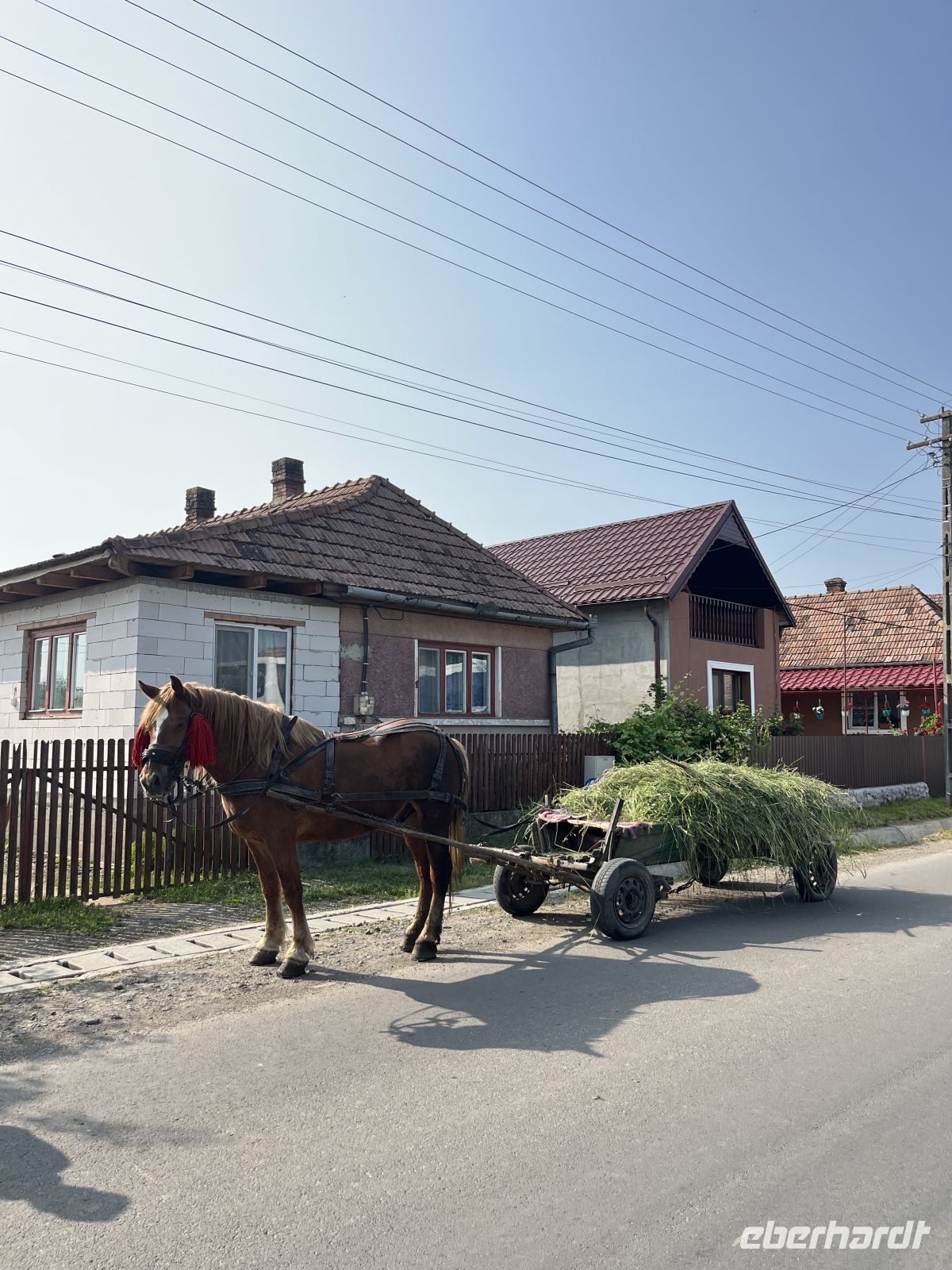 Pferdegespann, Rumänien