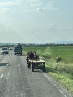 Pferdegespann, Rumänien