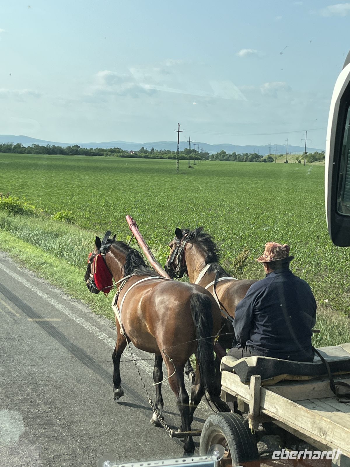 Pferdegespann, Rumänien