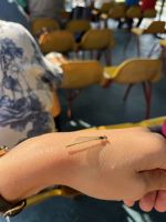 Bootsfahrt, Libelle, Donaudelta, Tulcea, Rumänien