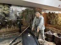 Donaudelta-Museum, Tulcea, Rumänien