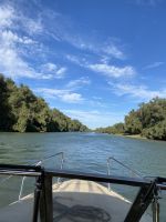 Weiden säumen die zahlreichen Kanäle