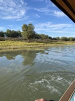 Auch im Uferbereich findet man Sumpf- und Wasserpflanzen