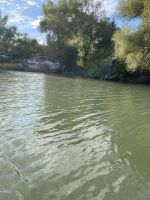 Ein gestrandetes Schiff