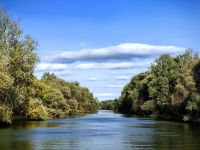 Einer der unzähligen Arme der Donau, Tulcea, Donaudelta