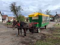 Kutschfahrt von Bazna nach Boian