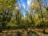 Wir laufen entlang der alten Stadtmauer von Brasov