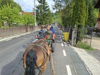 Kutschfahrt zum Dorf Moeciu &ndash; &copy; Gunter Looß (Eberhardt TRAVEL)