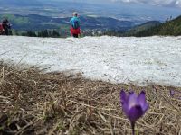 3 Jahreszeiten: Frühling/Winter und im Tal ist Sommer &ndash; &copy; Gunter Looß (Eberhardt TRAVEL)