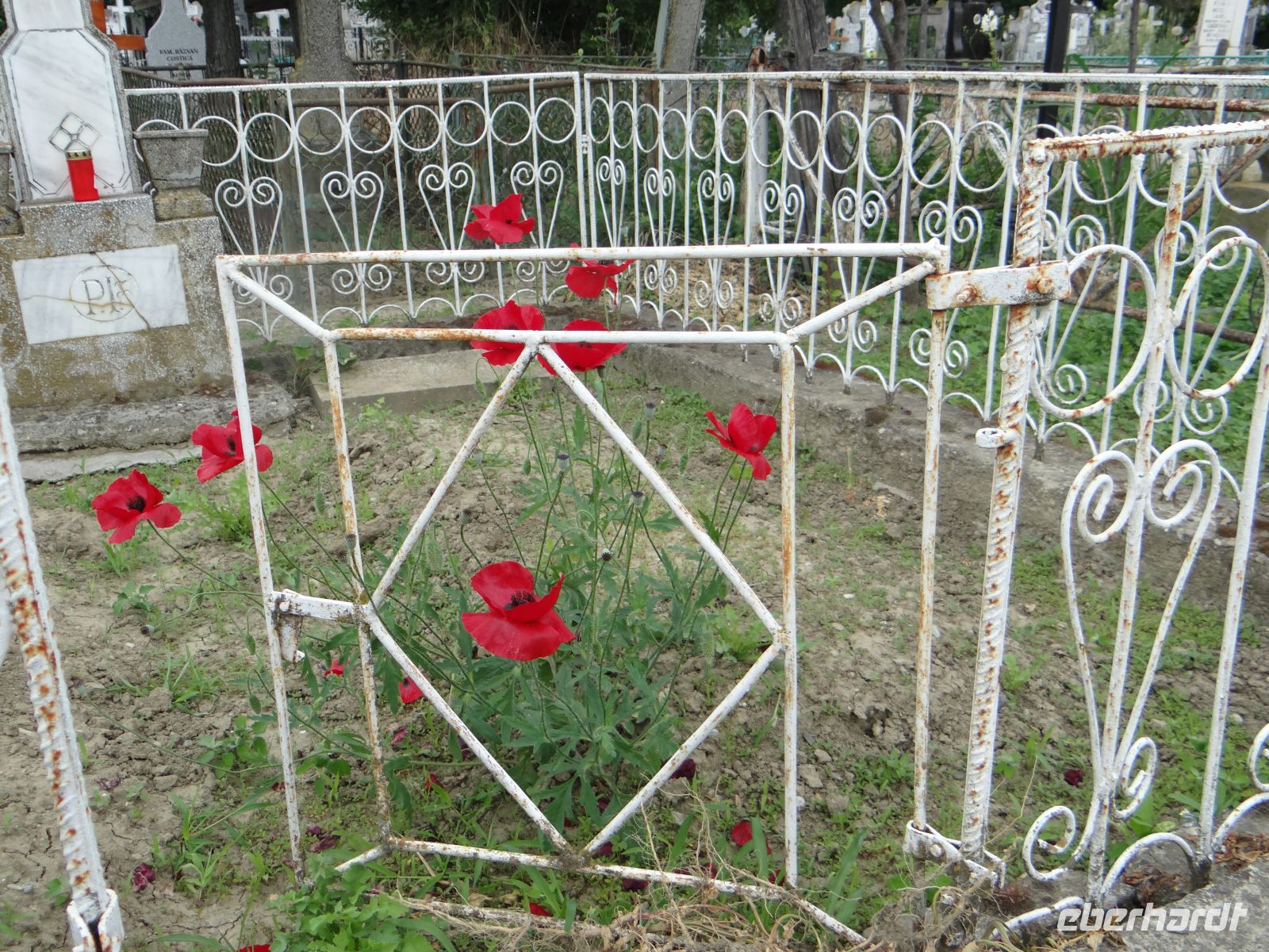 Friedhof, das Grab behält man für immer. &ndash; &copy;  (Eberhardt TRAVEL)
