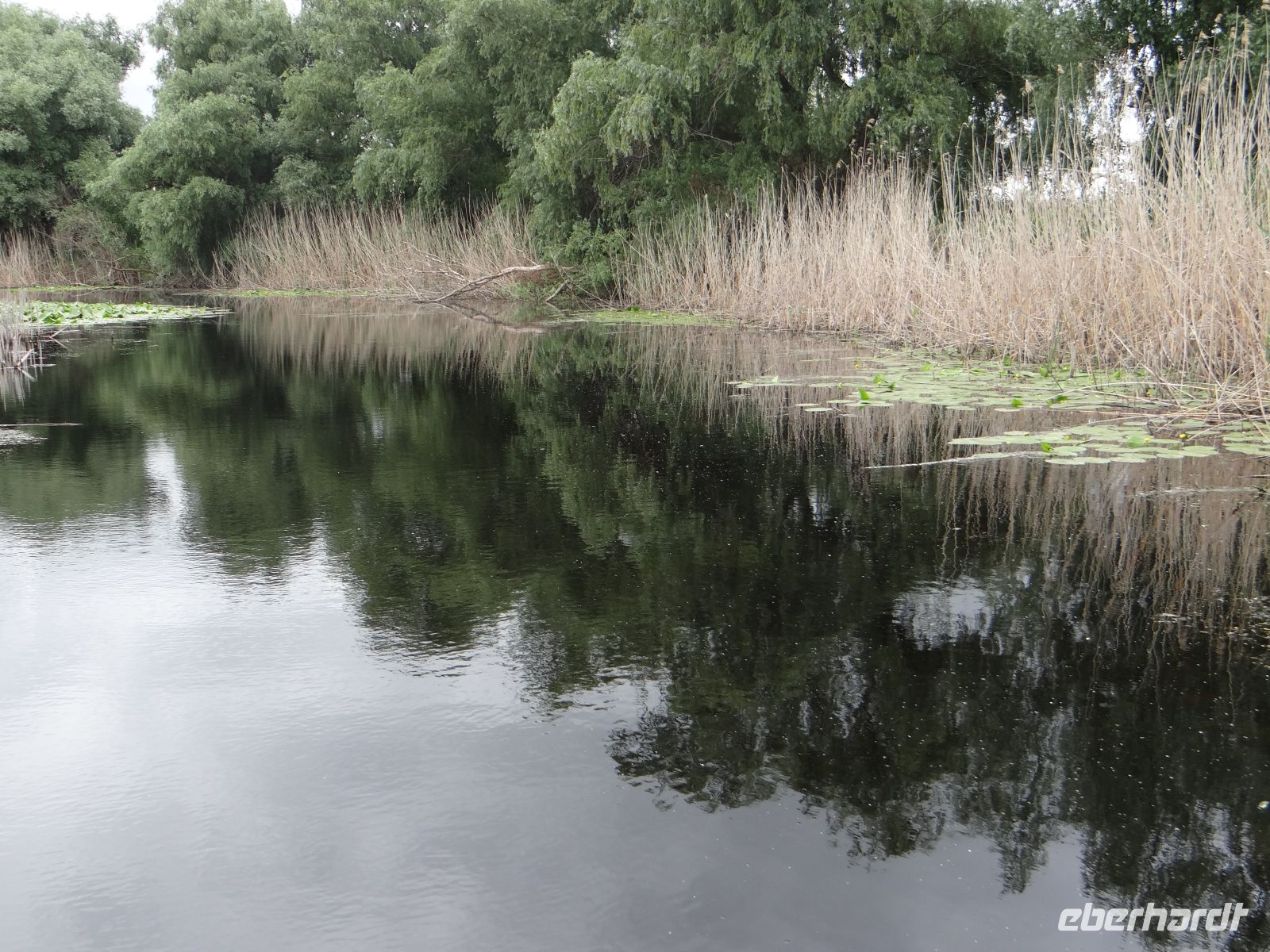 Tulcea, Donaudelta &ndash; &copy;  (Eberhardt TRAVEL)