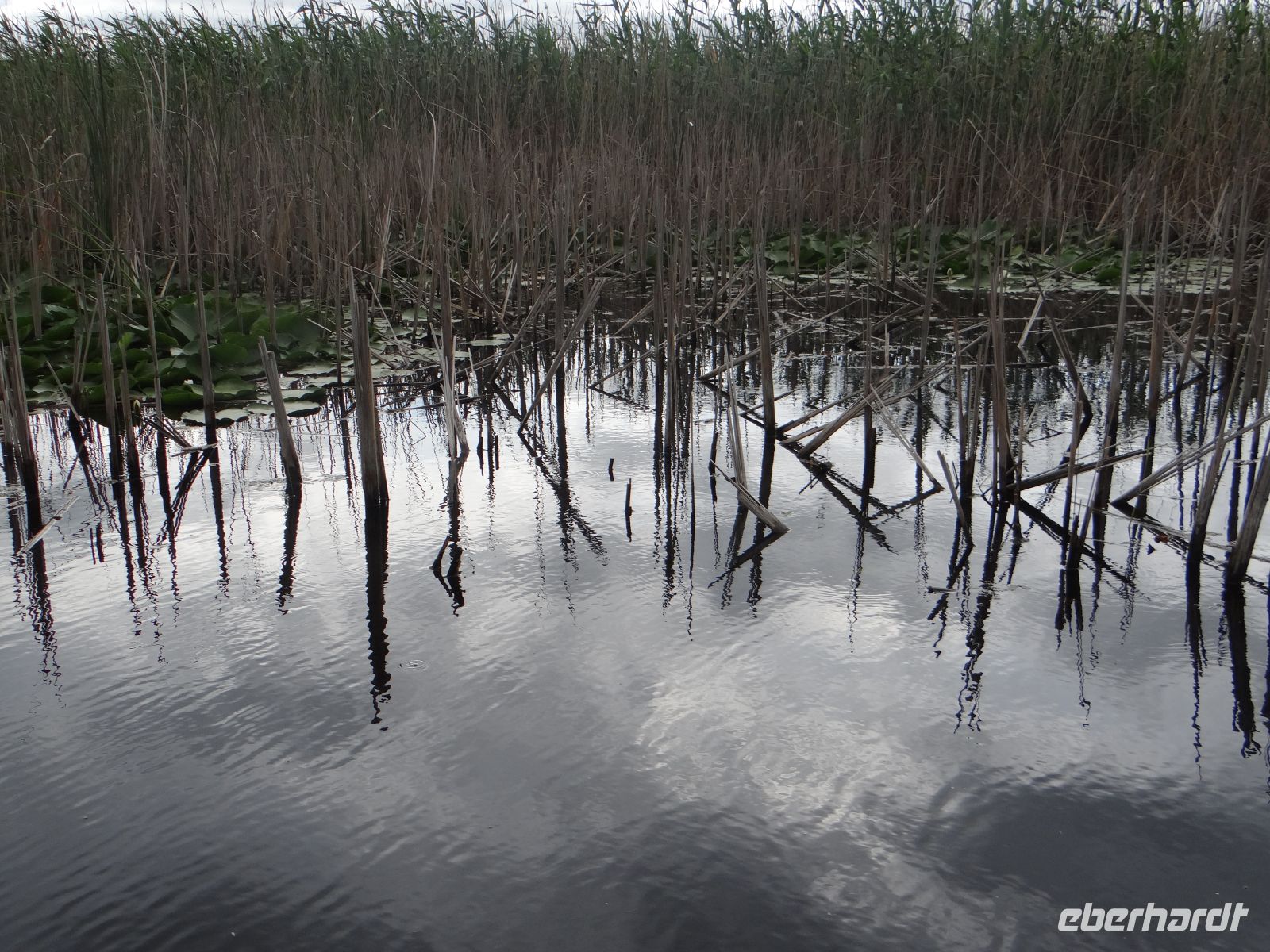 Tulcea, Donaudelta &ndash; &copy;  (Eberhardt TRAVEL)