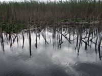 Tulcea, Donaudelta &ndash; &copy; Vivian Kreft (Eberhardt TRAVEL)