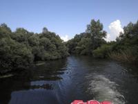 im Donaudelta