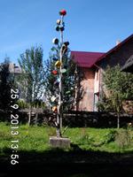 Topfbaum vorm Museum- Hier wohnt ein heiratsfähiges Mädchen