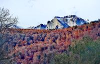 Auf dem Weg nach Sinaia