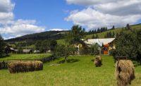 Bauernhof in der Bukovina