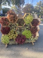 Blumenschmuck auf der Promenade