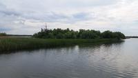 Bootsfahrt durch das Donaudelta
